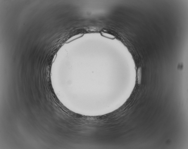 X0000115071443200912081137