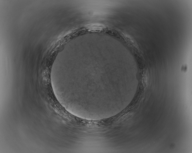 X0000115071445200912081137