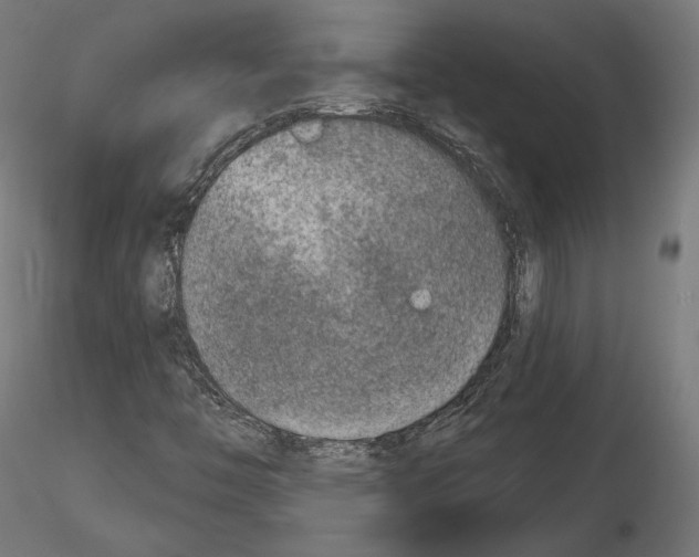 X0000115071446200912081137