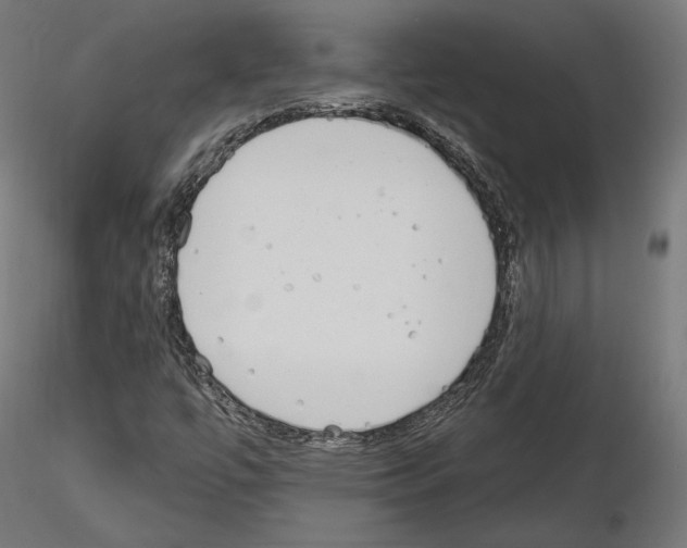 X0000115071447200912081137
