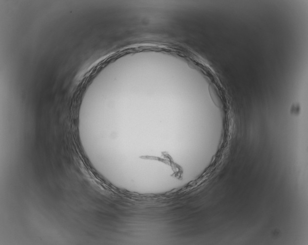 X0000115071448200912081137