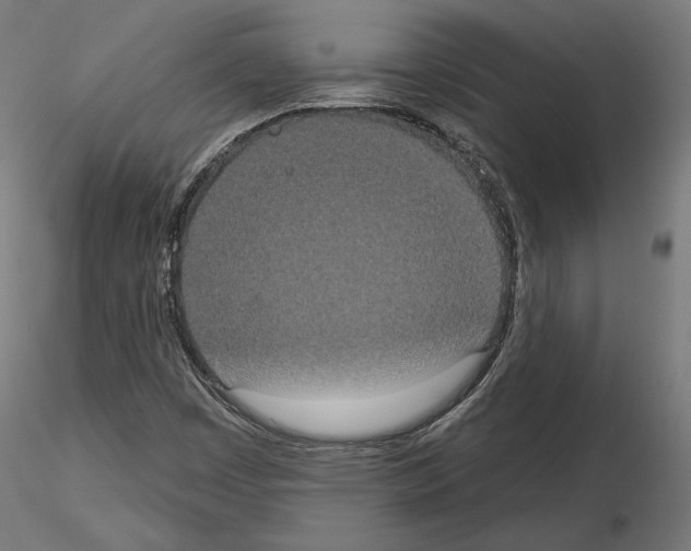 X0000115071449200912081137