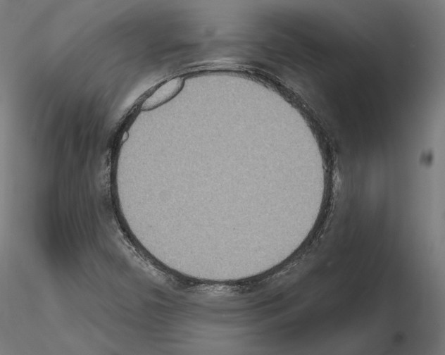 X0000115071450200912081137