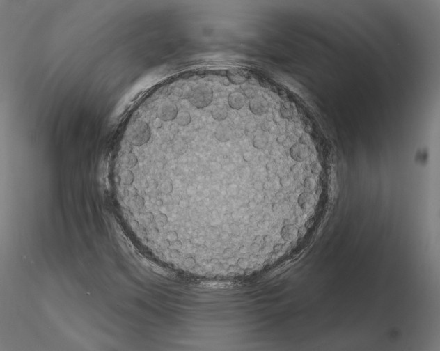 X0000115071451200912081137