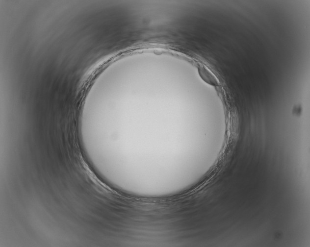 X0000115071452200912081137