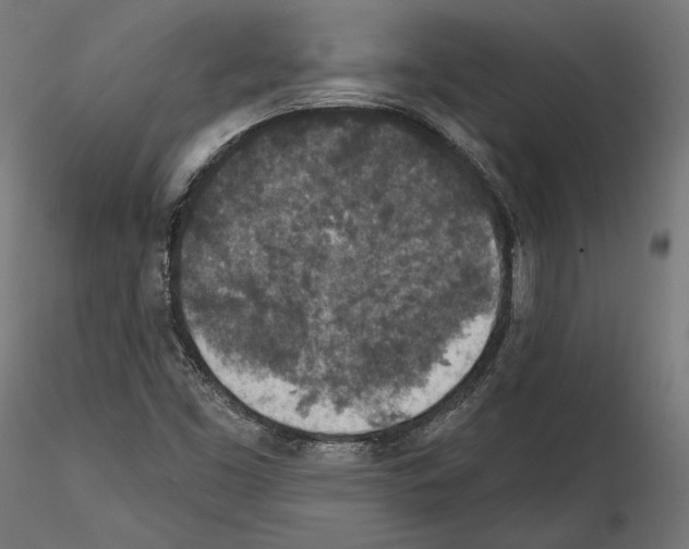 X0000115071453200912081137
