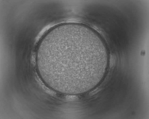 X0000115071454200912081137