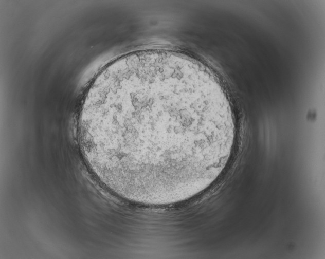 X0000115071455200912081136
