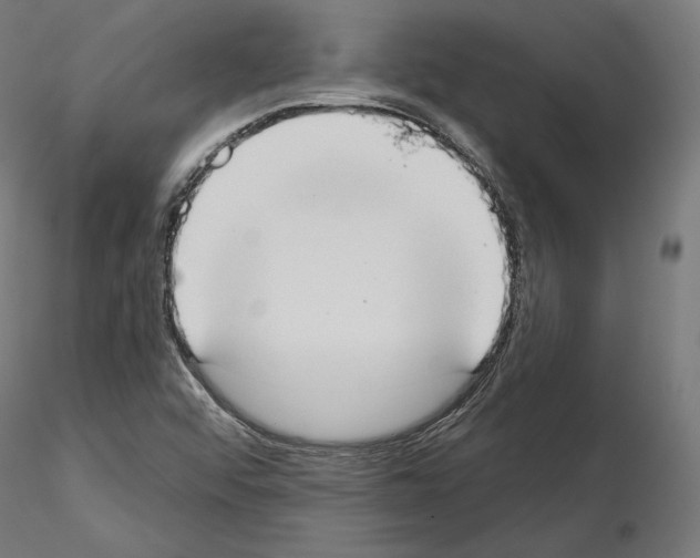 X0000115071456200912081136