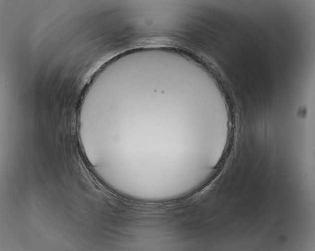 X0000115071457200912081136