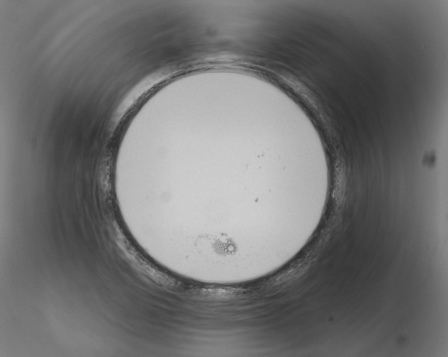 X0000115071458200912081136