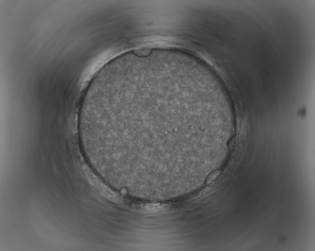 X0000115071459200912081136