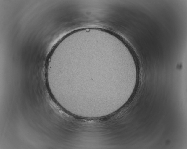 X0000115071460200912081136