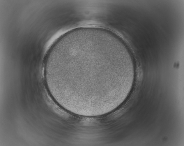 X0000115071462200912081136