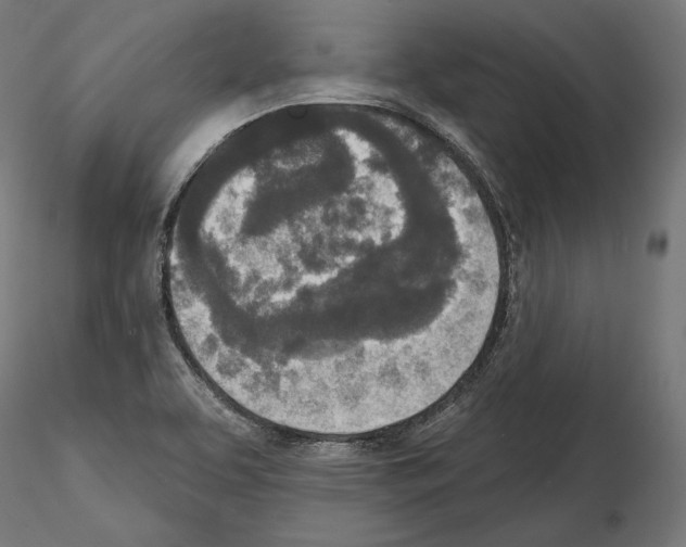 X0000115071463200912081136