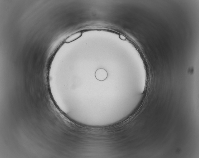 X0000115071464200912081136