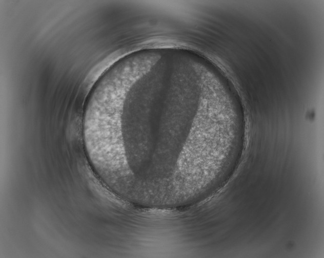 X0000115071465200912081136