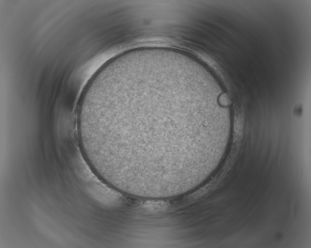 X0000115071466200912081136
