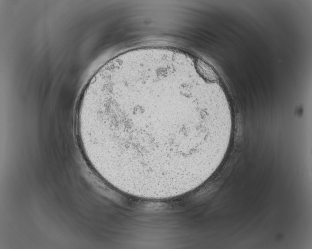 X0000115071467200912081136