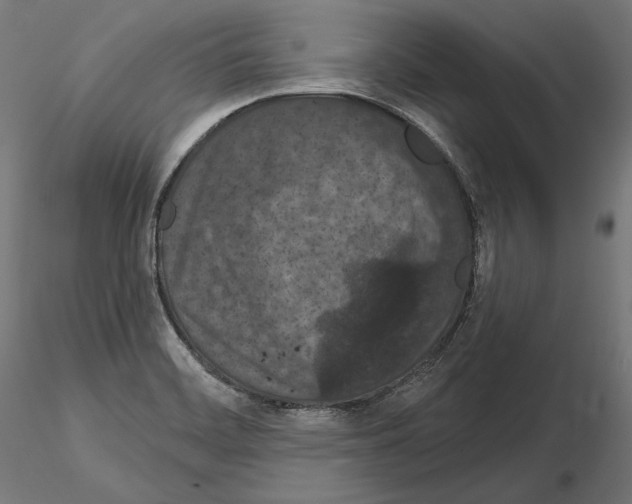 X0000115071468200912081136