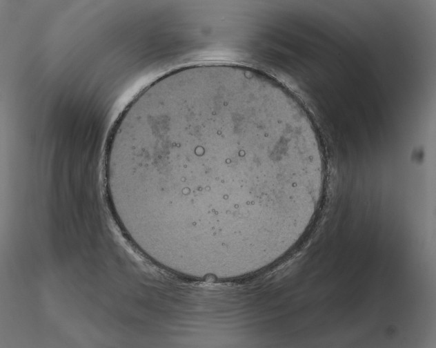 X0000115071469200912081136