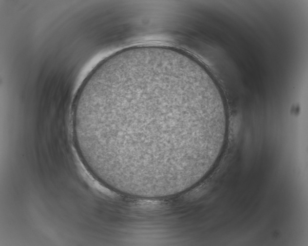 X0000115071470200912081136