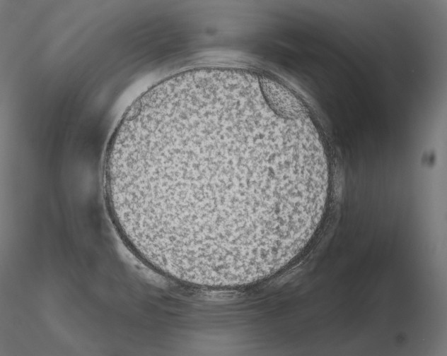 X0000115071471200912081136