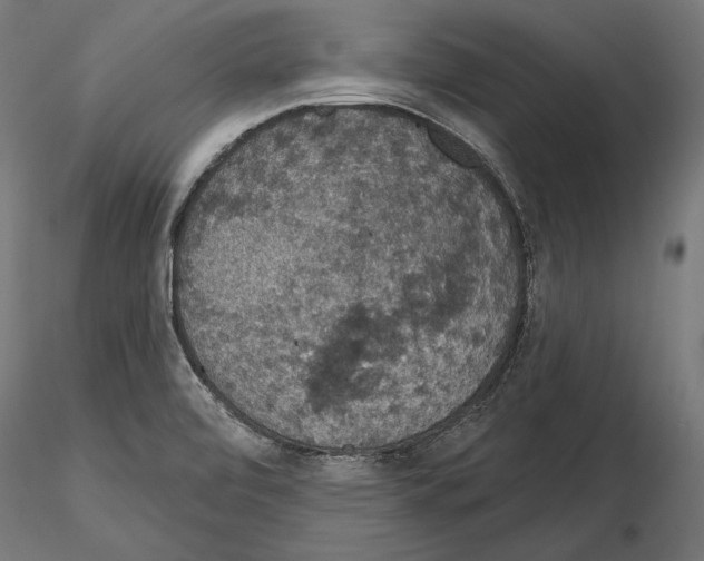 X0000115071472200912081136