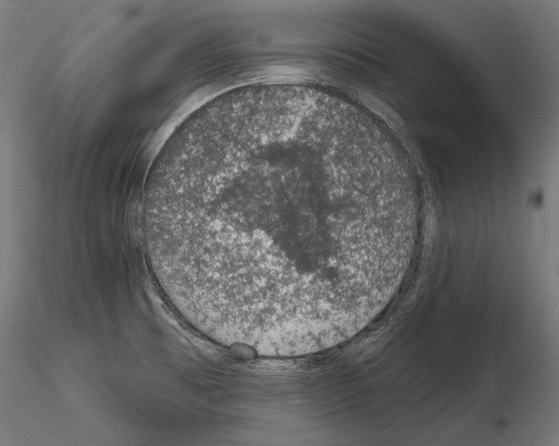 X0000115071473200912081136