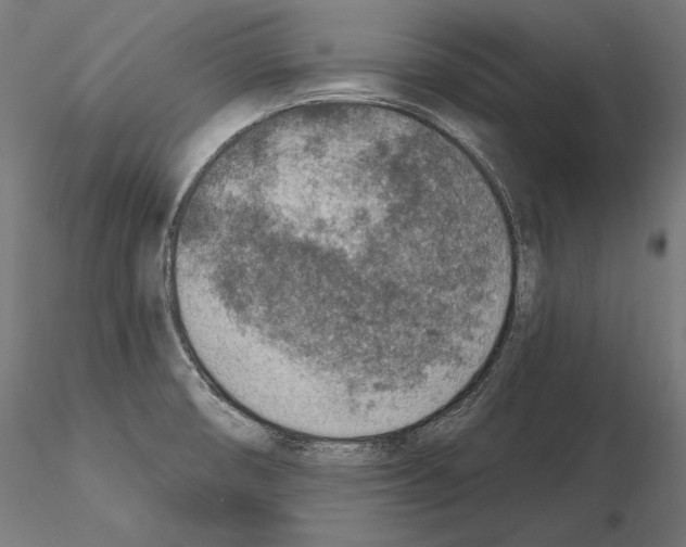 X0000115071474200912081136