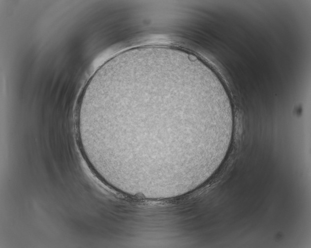 X0000115071475200912081136