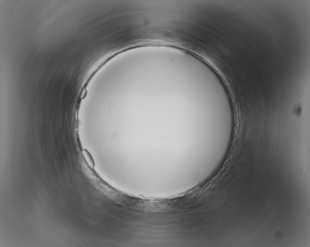 X0000115071476200912081136