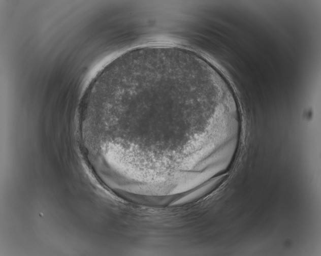 X0000115071477200912081136