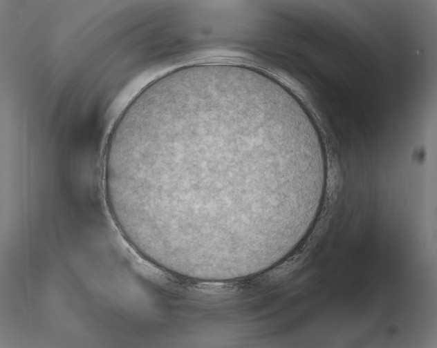 X0000115071478200912081136
