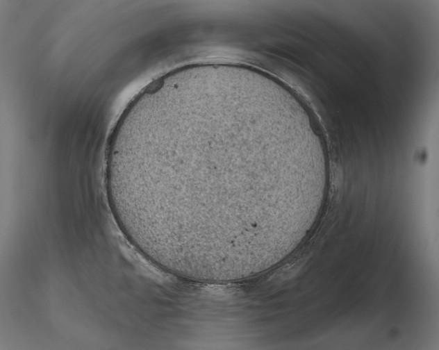 X0000115071480200912081136