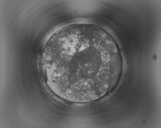 X0000115071481200912081136