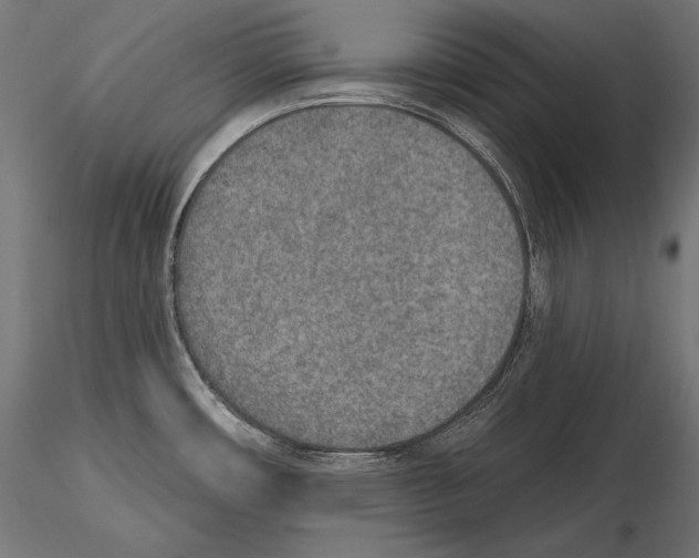 X0000115071482200912081136
