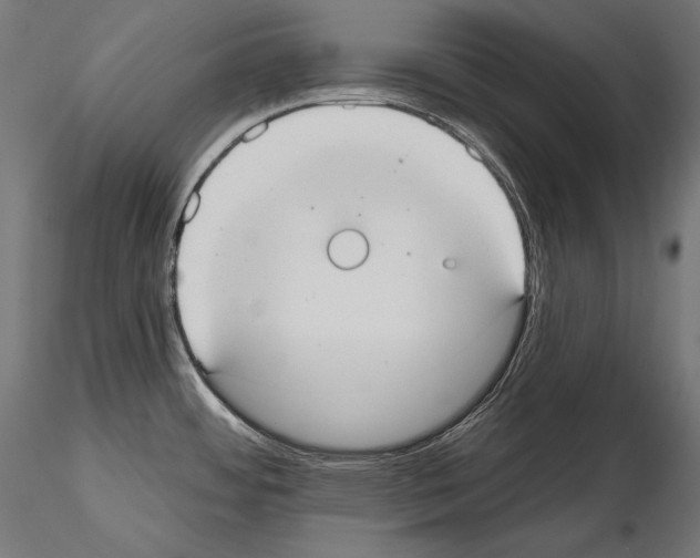 X0000115071484200912081136