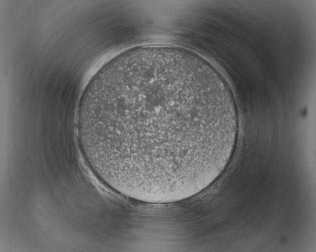 X0000115071485200912081136