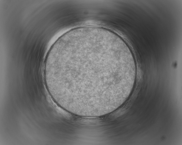 X0000115071486200912081136