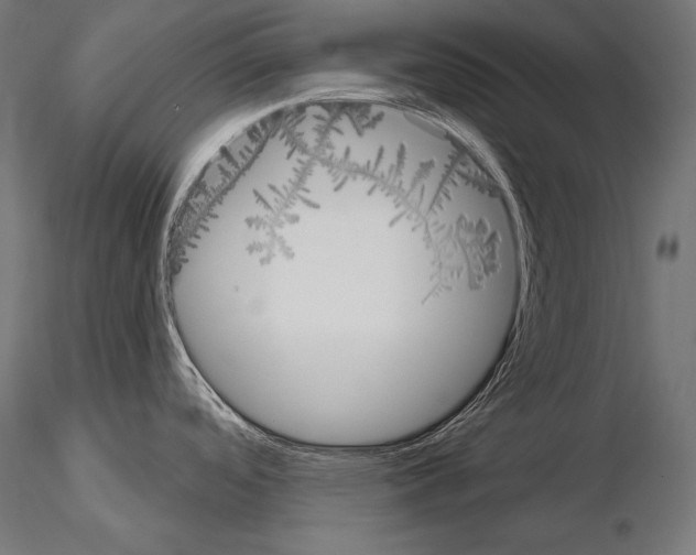 X0000115071488200912081136
