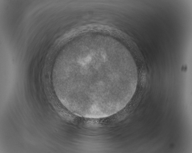 X0000115071489200912081135