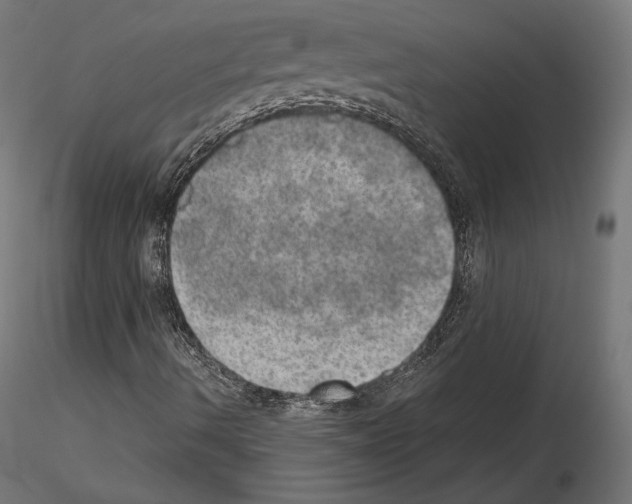 X0000115071490200912081135