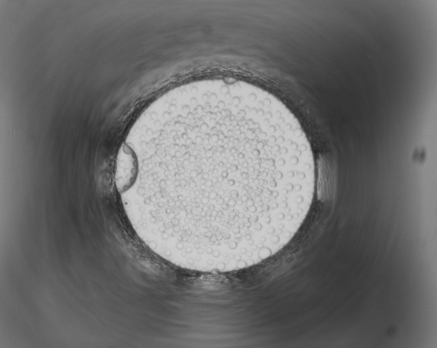 X0000115071491200912081135