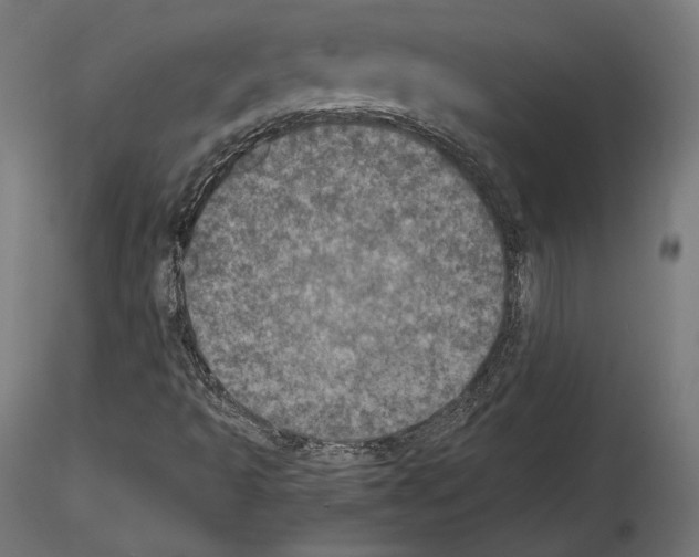 X0000115071493200912081135