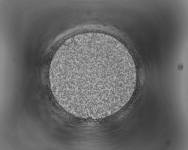X0000115071494200912081135