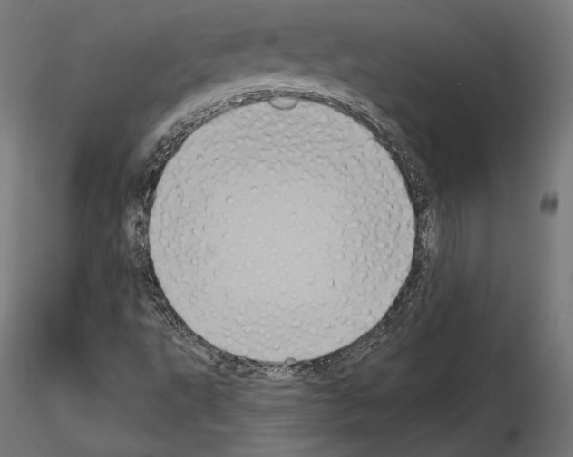 X0000115071495200912081135