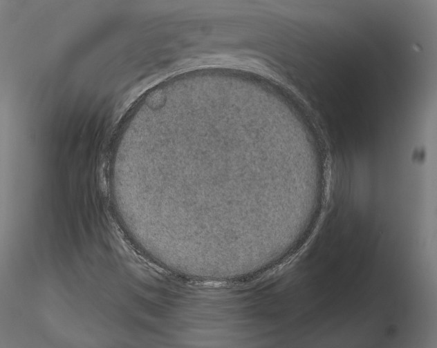 X0000115071497200912081135