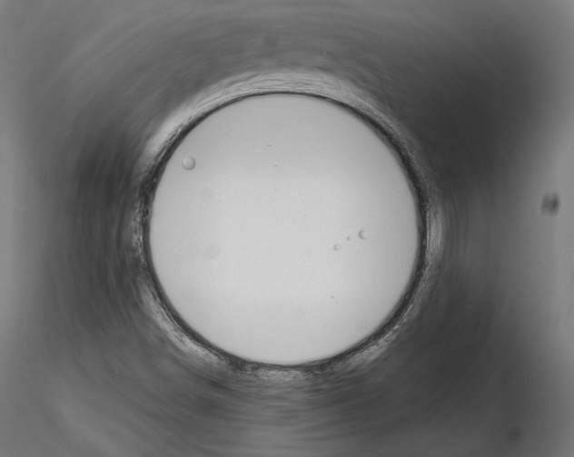 X0000115071498200912081136