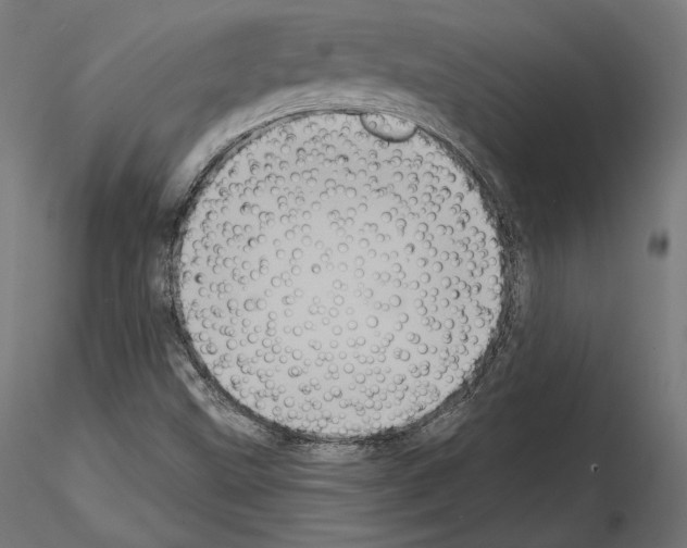 X0000115071499200912081136